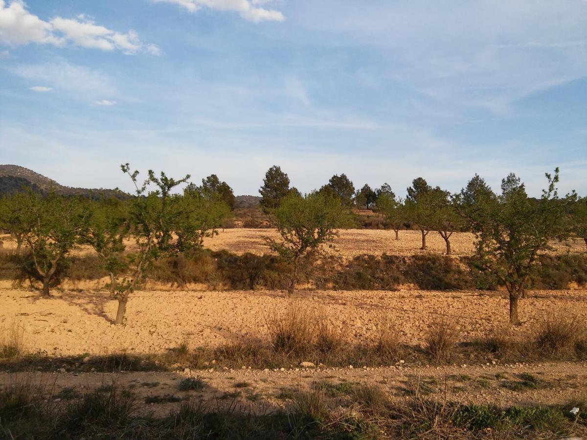 Casa Rural El Carmen De La Sierra Yecla Eksteriør billede