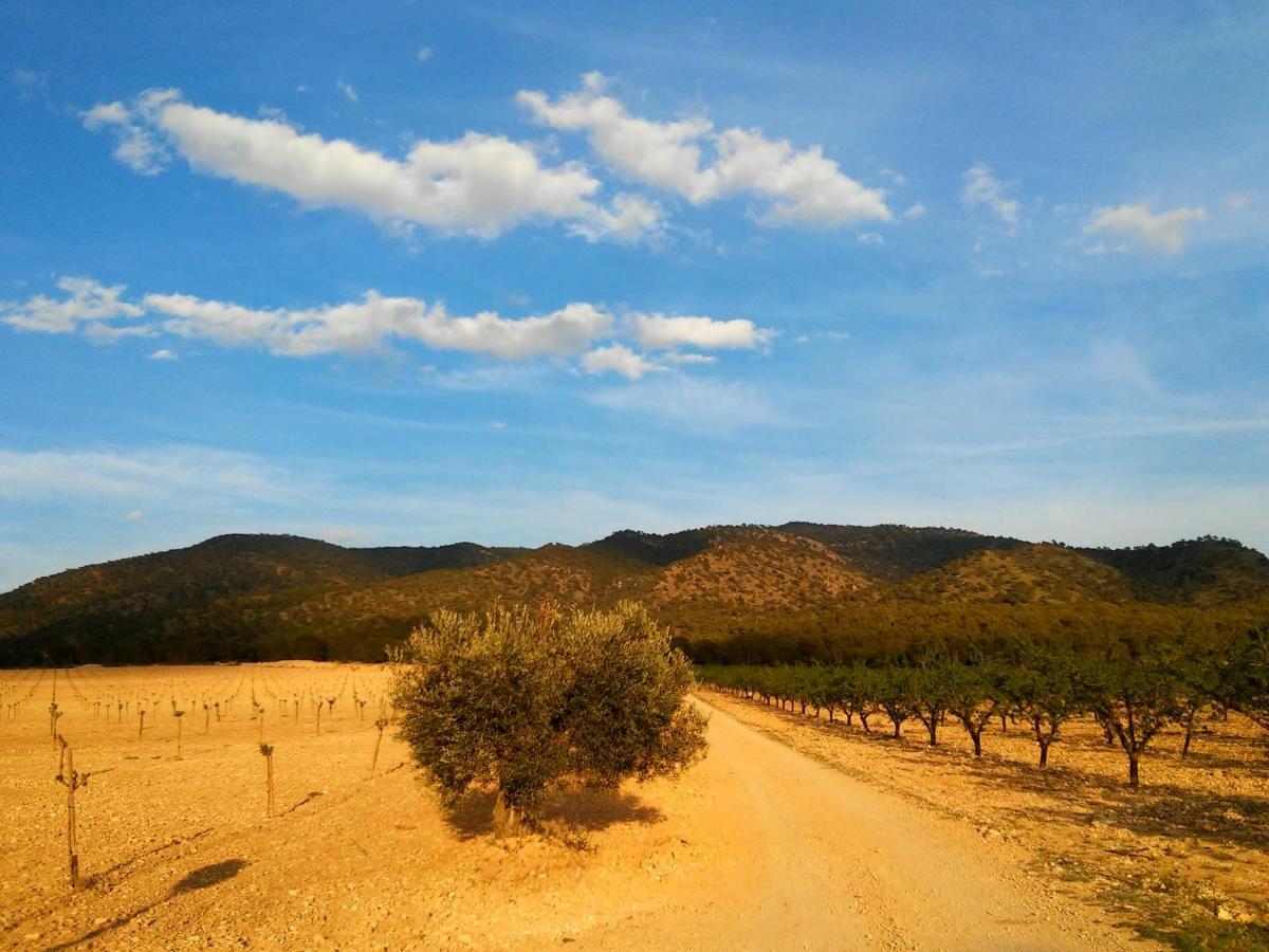 Casa Rural El Carmen De La Sierra Yecla Eksteriør billede
