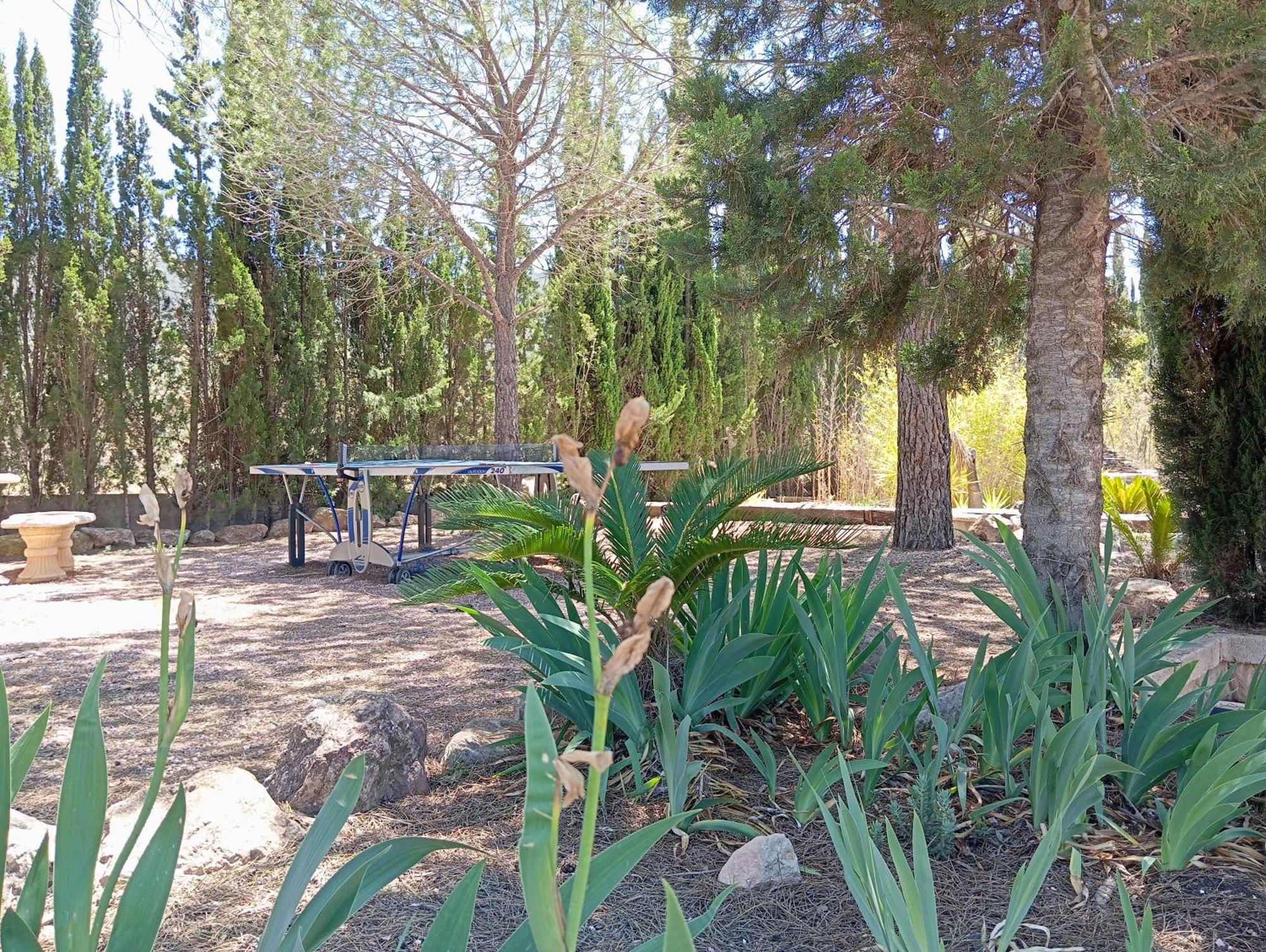 Casa Rural El Carmen De La Sierra Yecla Eksteriør billede